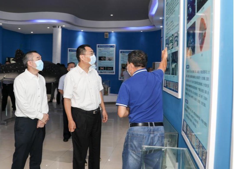 B5628B62442D5122CBEED1E92F4_A4192FB4_11D00 B5628B62442D5122CBEED1E92F4_A4192FB4_11D00