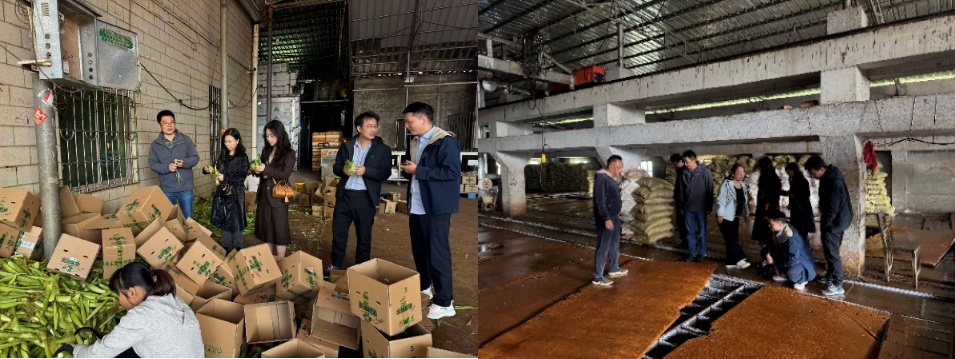 EEB1D6F1D2EECDB76F69EE3A18F_9EE5354B_2E942 EEB1D6F1D2EECDB76F69EE3A18F_9EE5354B_2E942