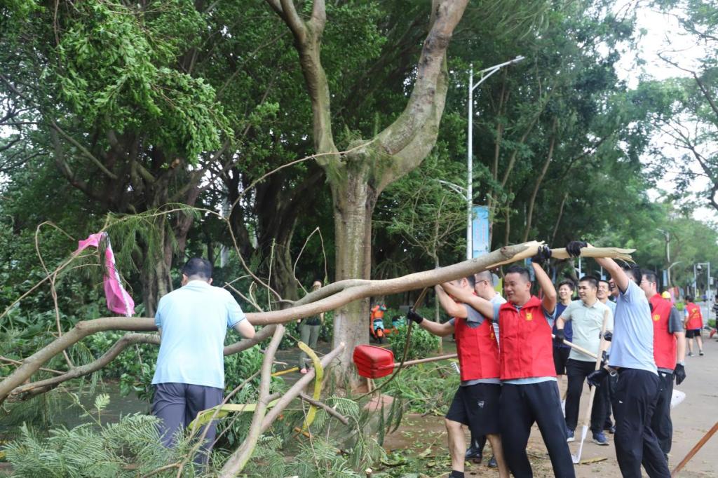 66E5C7C61F28B549F9246529576_F69A13E8_26200