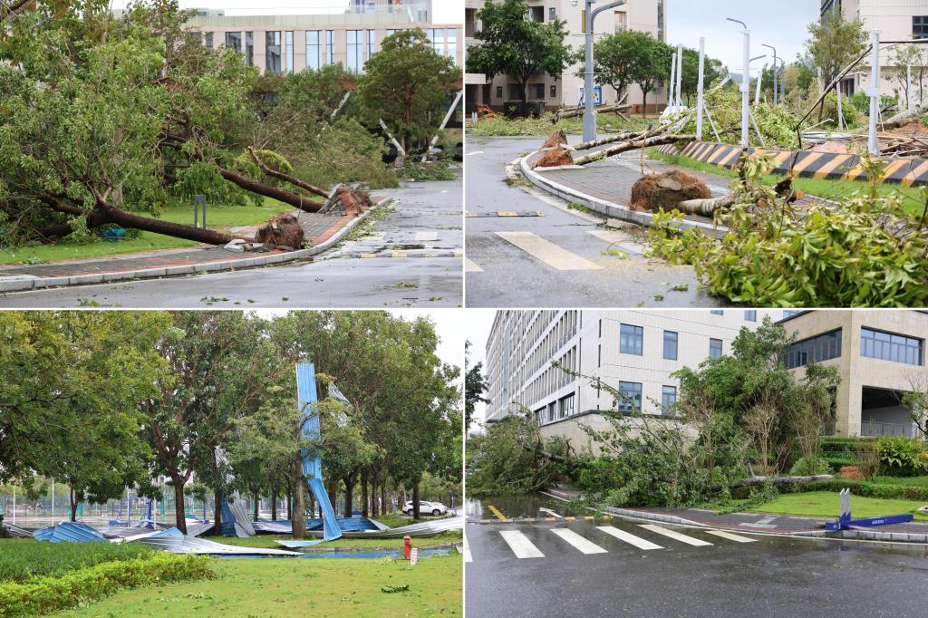 7B167FED9562F36455065D50ADD_4212D9F6_2E82A