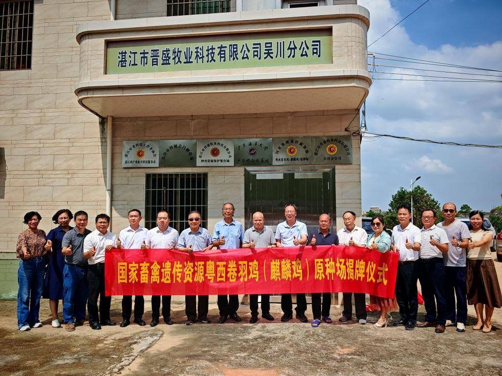 AE047B06FD7B978CE0FBA1F4891_5B8EEDD3_272E2