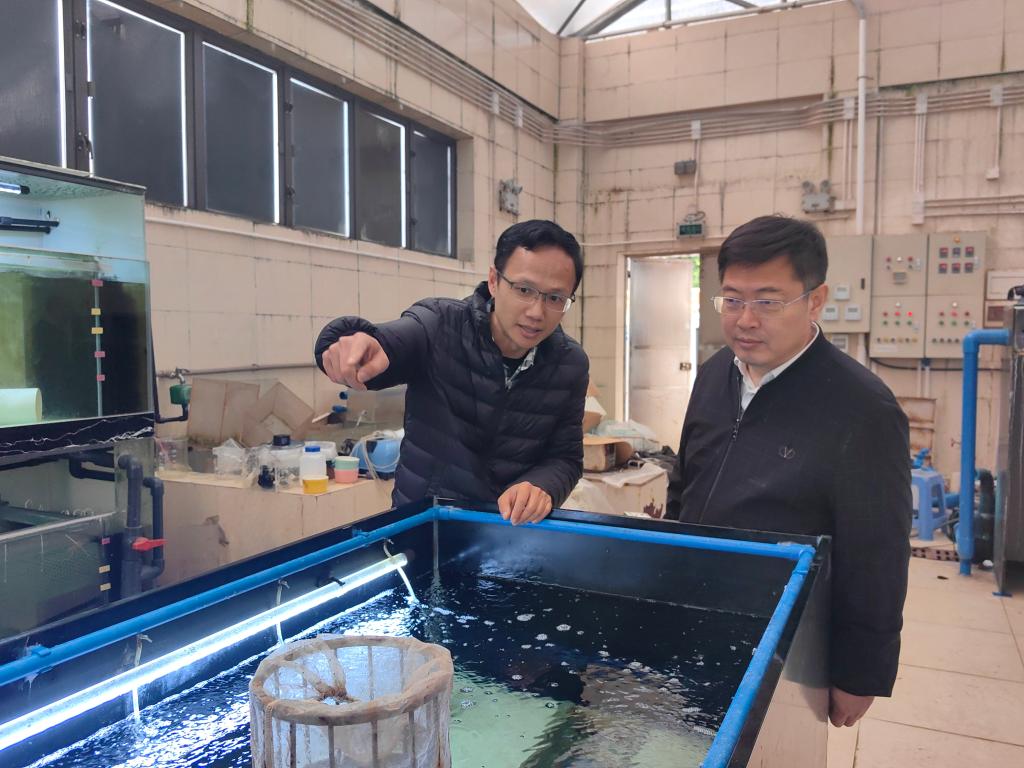 98E150F0C8D02E62E2F779FCA5C_73ADC30C_1AC70 98E150F0C8D02E62E2F779FCA5C_73ADC30C_1AC70