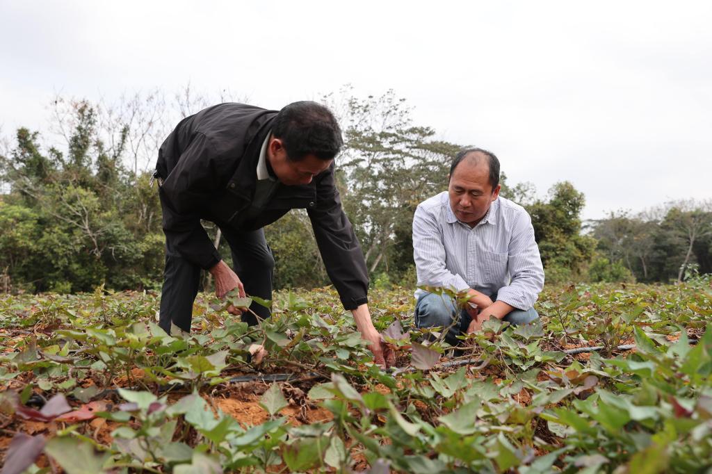 34FCBA58F8B37CA154A5EC19DB9_0A454740_1D128