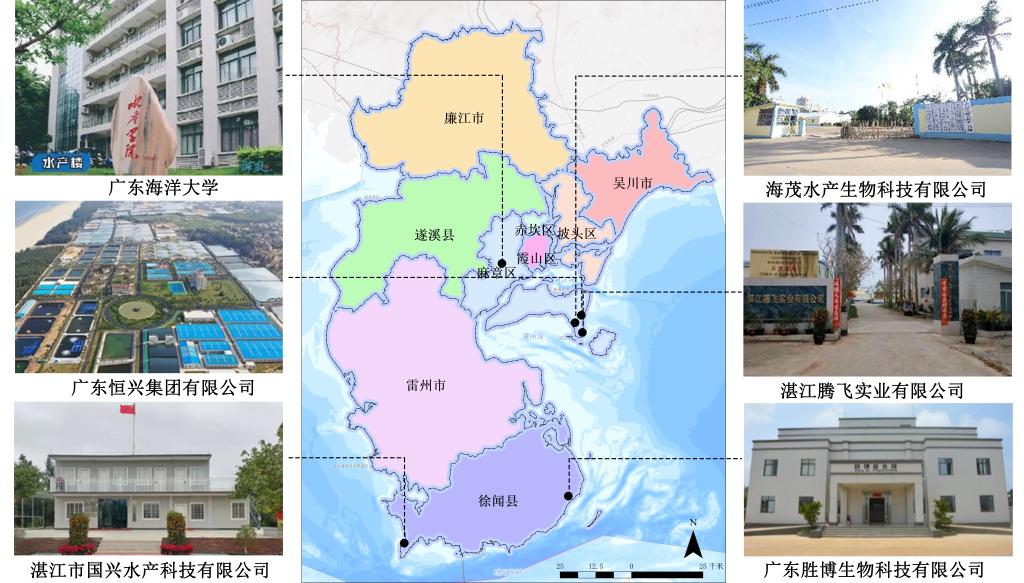 CD039B0764A099E355937CDA56E_CB9C3646_1C87F