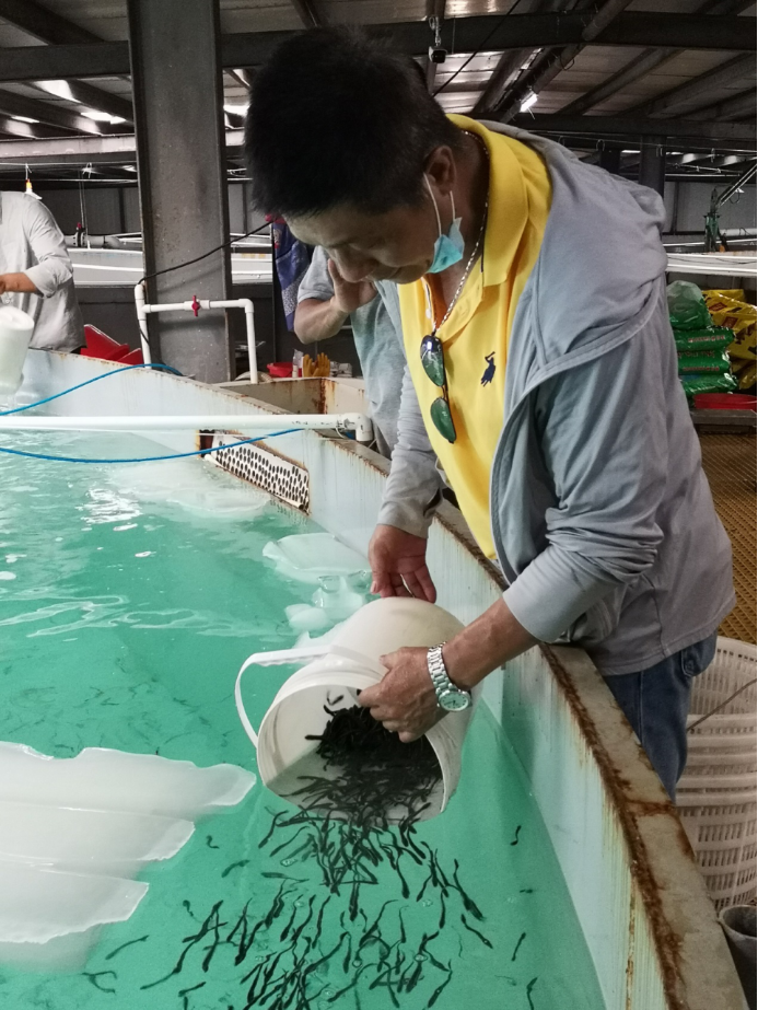 A99702EA73D3B045422C8413368_634B5E64_271E81