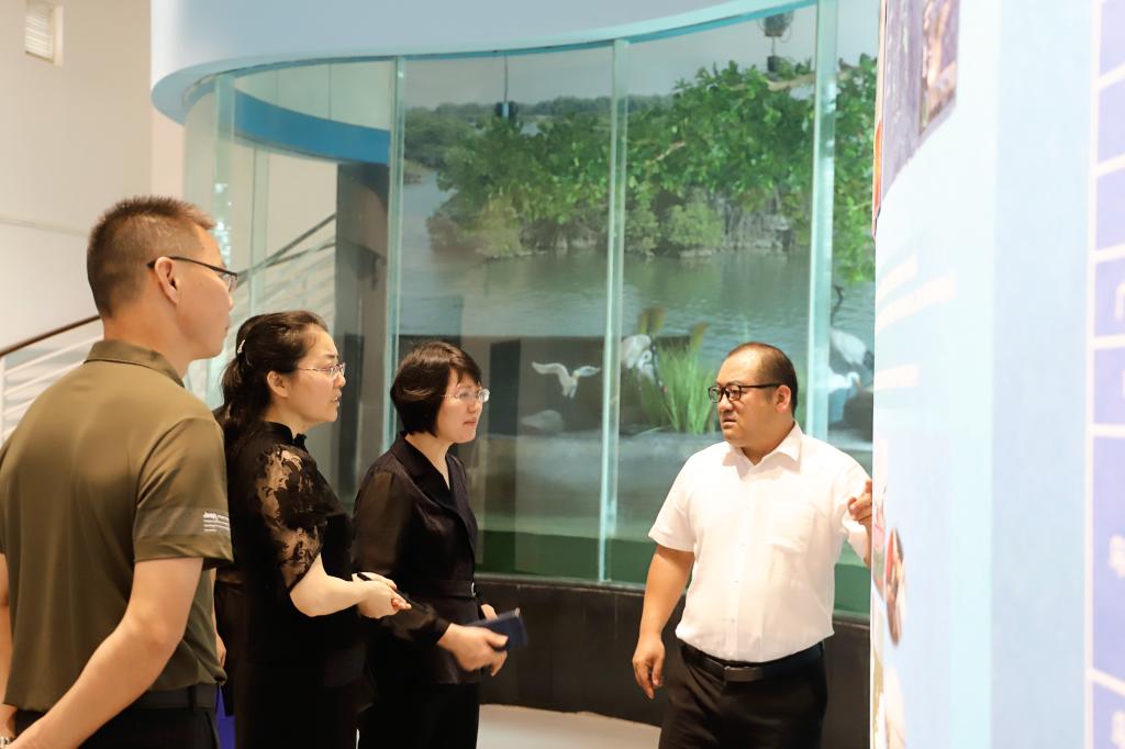 4746FE2B9D799AA5890EDEB4740_158A1151_10A91 4746FE2B9D799AA5890EDEB4740_158A1151_10A91