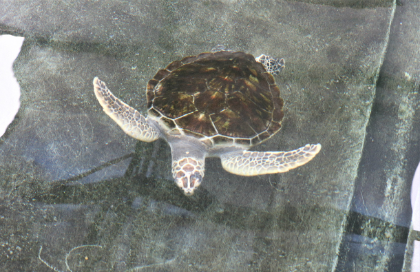 1551167120543233.jpg 1551167120543233.jpg