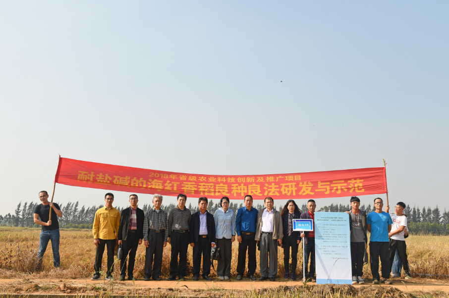 1575277986922429.png 1575277986922429.png