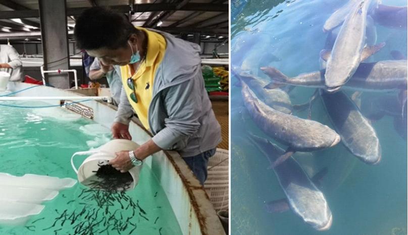 0711640C9E4F3BAE661D309B47D_A663DCD1_D97F 0711640C9E4F3BAE661D309B47D_A663DCD1_D97F