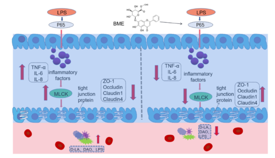 E02206C626EF7979D6A0E3F71D6_07B3FD57_AC6B8