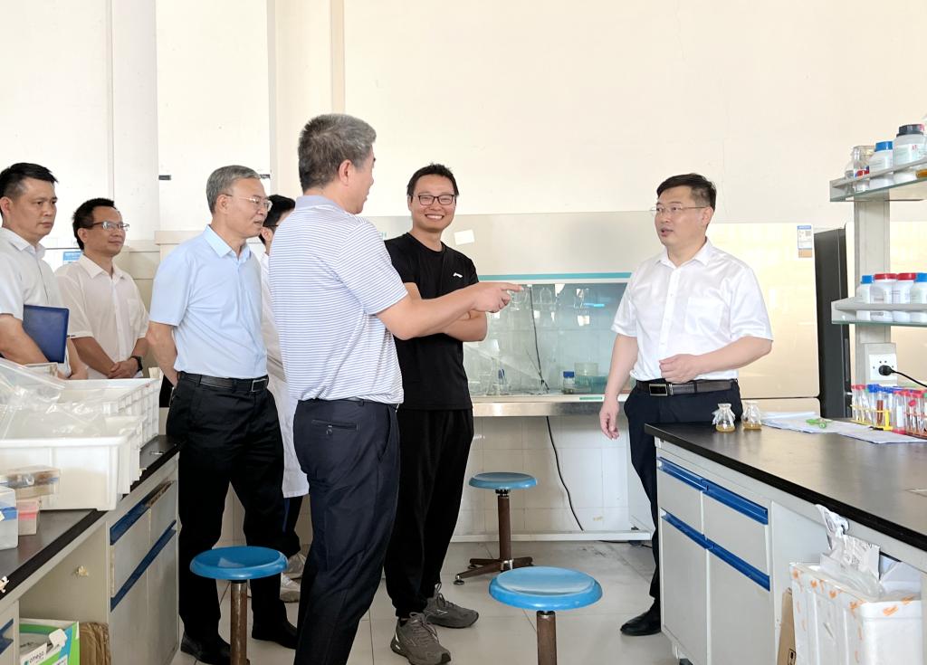 99D213AEE872BBDEE2E6314FD0C_2C23C18D_15D12