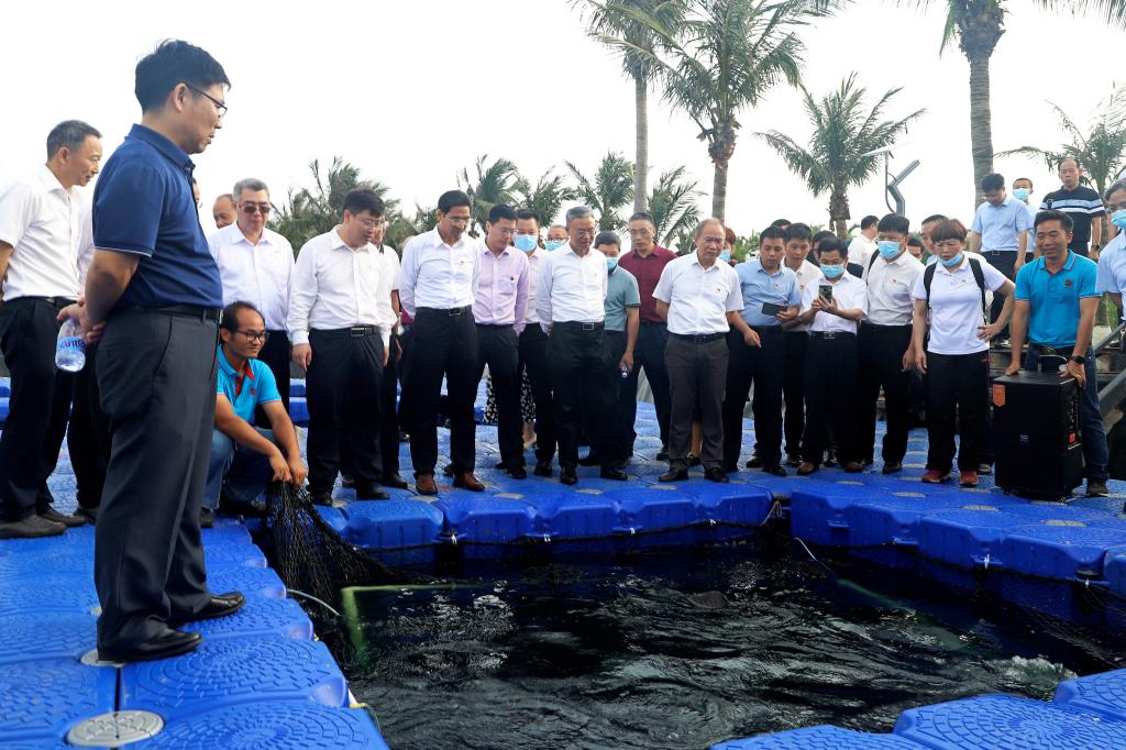 34395066053DCD38679C5D6ABBF_6BC4D2E5_1F9F9 34395066053DCD38679C5D6ABBF_6BC4D2E5_1F9F9