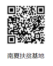 ��ҳ|�Ϲ�NG28��������Ʒ��ʵ������