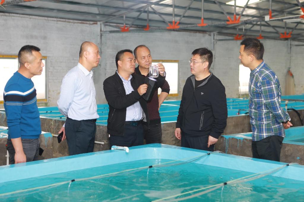 59A3EBB74171B50A58230CB5A14_4D55C7C4_1613E