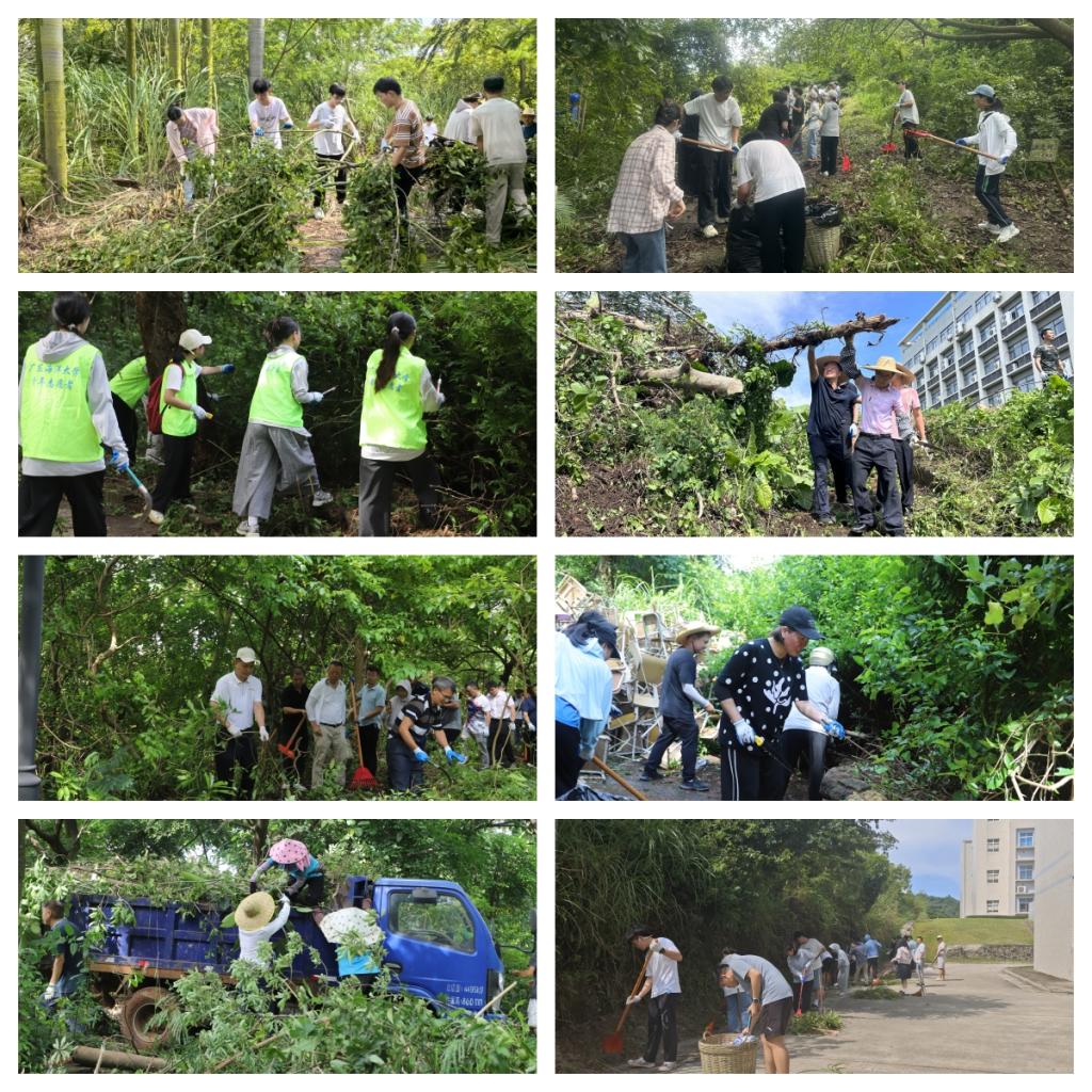 3A389E26949D466D9D21E206795_A7ADDC49_3DA95