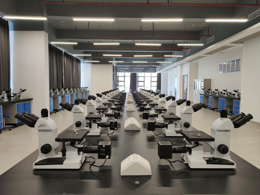 B436143FA70DC510BDD49122039_72919D7E_19F85