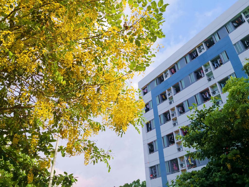 ��ҳ|�Ϲ�NG28��������Ʒ��ʵ������