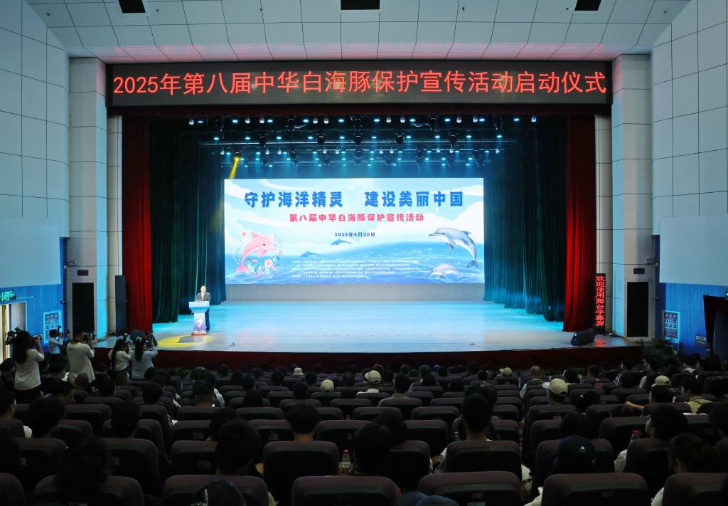 46CBD69FF5539382F372509454F_FFCD0AD0_1772B