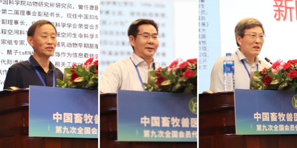 5CAEADFFEE8A9CFA254AC05A806_D5F1098B_11AD4 5CAEADFFEE8A9CFA254AC05A806_D5F1098B_11AD4