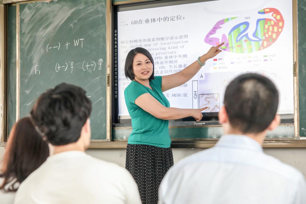 A88DA181F8BA3FF56800810AE90_4D4B766D_131CB