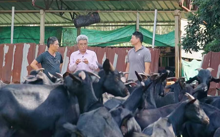 E3CD6752D2B7B56FAF9CB68FA23_4262FE79_A46AD