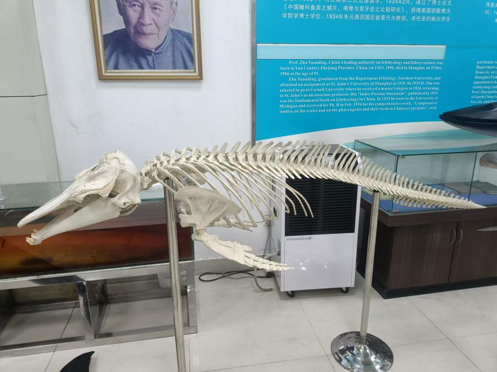 8B7DDF1F46FBF8899B2249FA297_84B3A307_17020