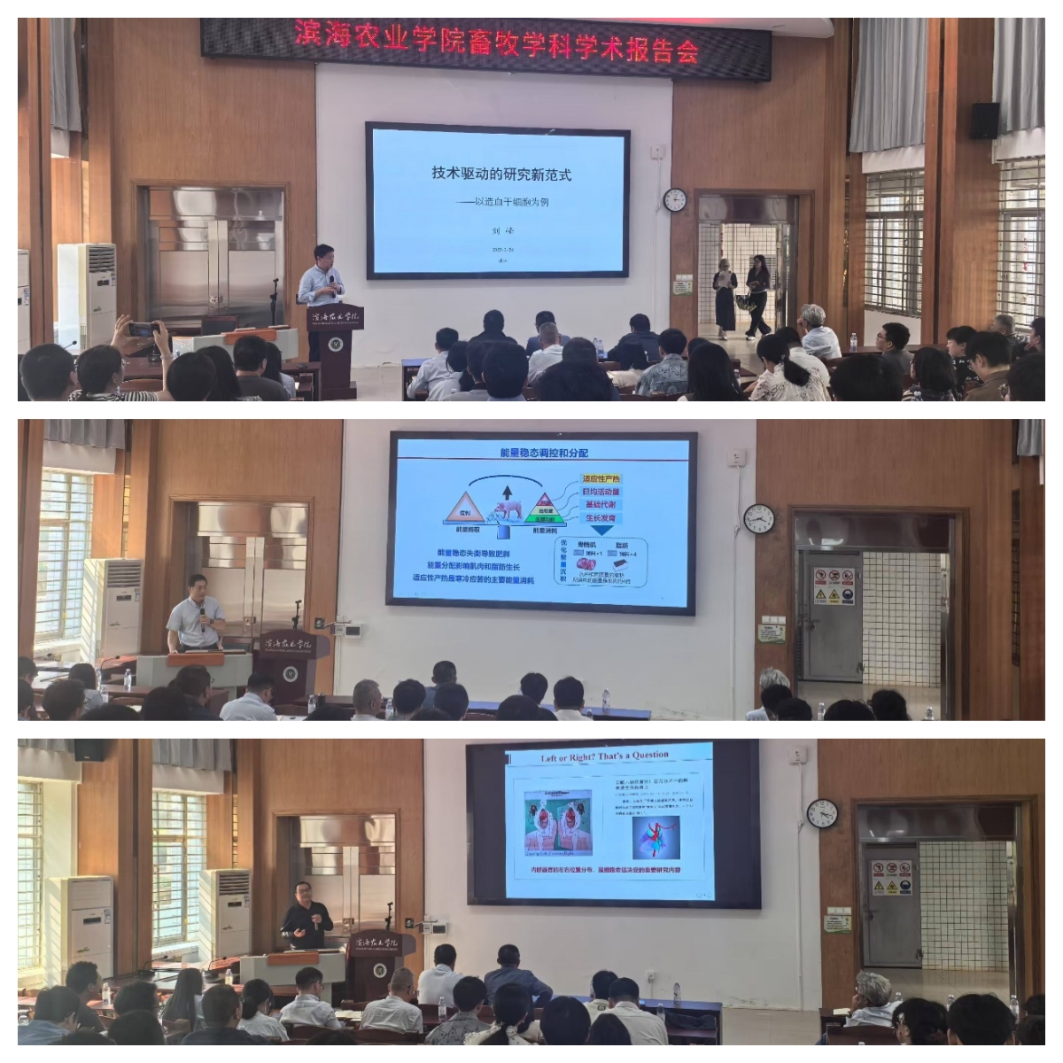 Ê×Ò³|ÄϹ¬NG28¼¯ÍÅÏàÐÅÆ·ÅÆÊµÁ¦¹ÙÍø