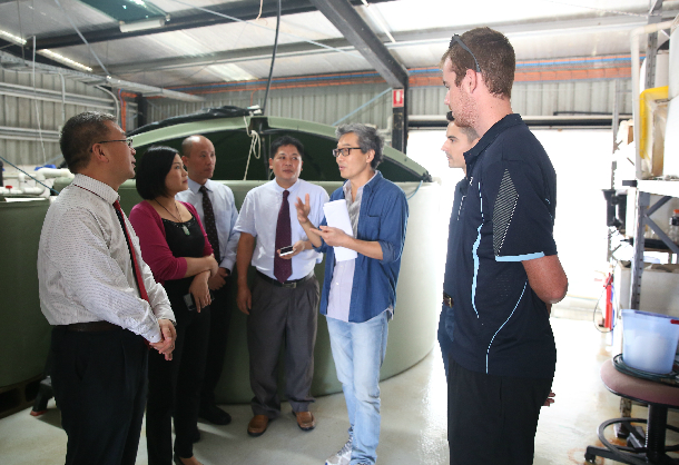 1536642045926259.jpg 4.jpg