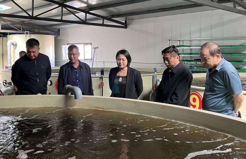 72305D06AF7746CEC226CCC9DA6_B24DB85D_19FBA 72305D06AF7746CEC226CCC9DA6_B24DB85D_19FBA