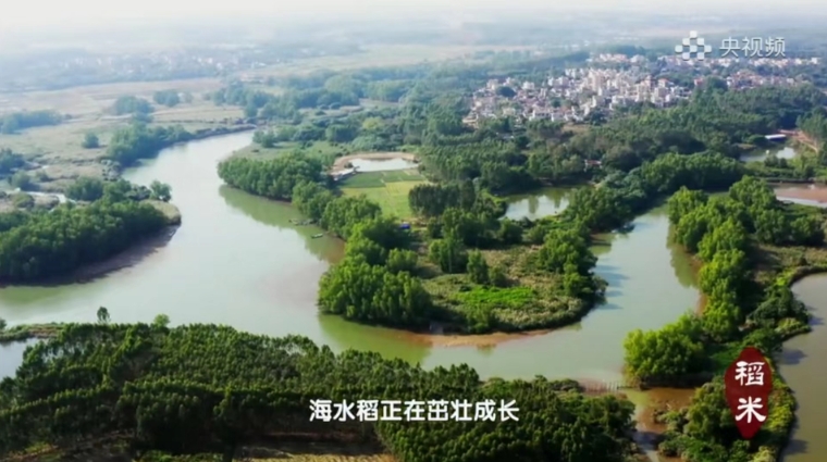 B6F41BFE0697AAFFB1862133742_C6557AF1_36843