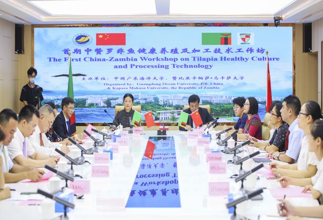 1D9BEFBA12B32106E5B1FCE2E36_F5B58E36_F2A6 1D9BEFBA12B32106E5B1FCE2E36_F5B58E36_F2A6