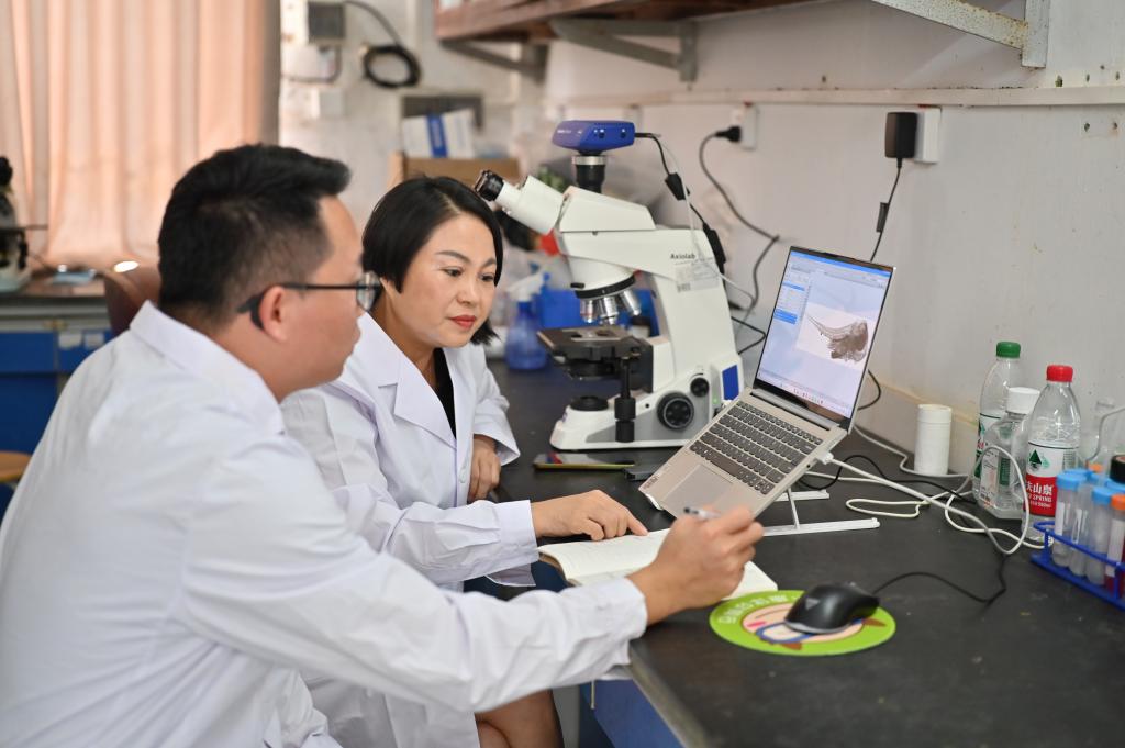 9A40F574454AE20D2D6D4E621A8_F1D27D8E_1237C 9A40F574454AE20D2D6D4E621A8_F1D27D8E_1237C