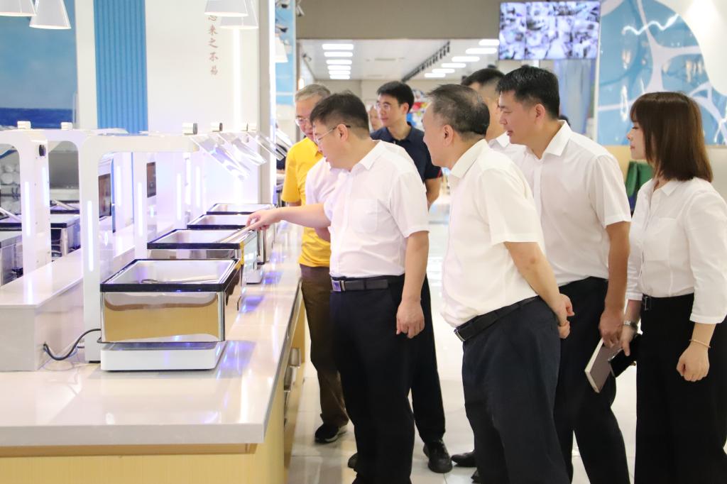 051E3D42AB0BA79396152315481_B0C390D8_12ECE