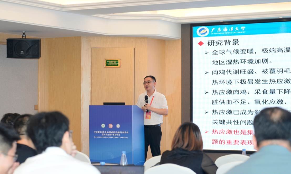 ��ҳ|�Ϲ�NG28��������Ʒ��ʵ������