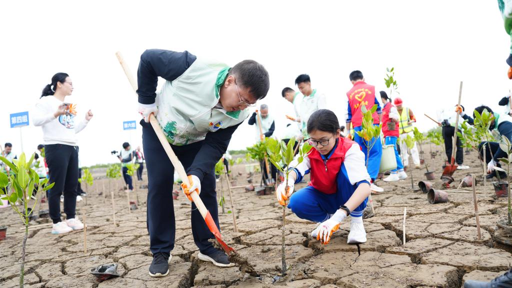 A778AA945C860645654EB8E8E8F_DEB31485_19C2F