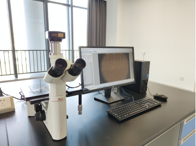 AE63E56D04C3ADC9790F972FF9D_1F950119_741A5