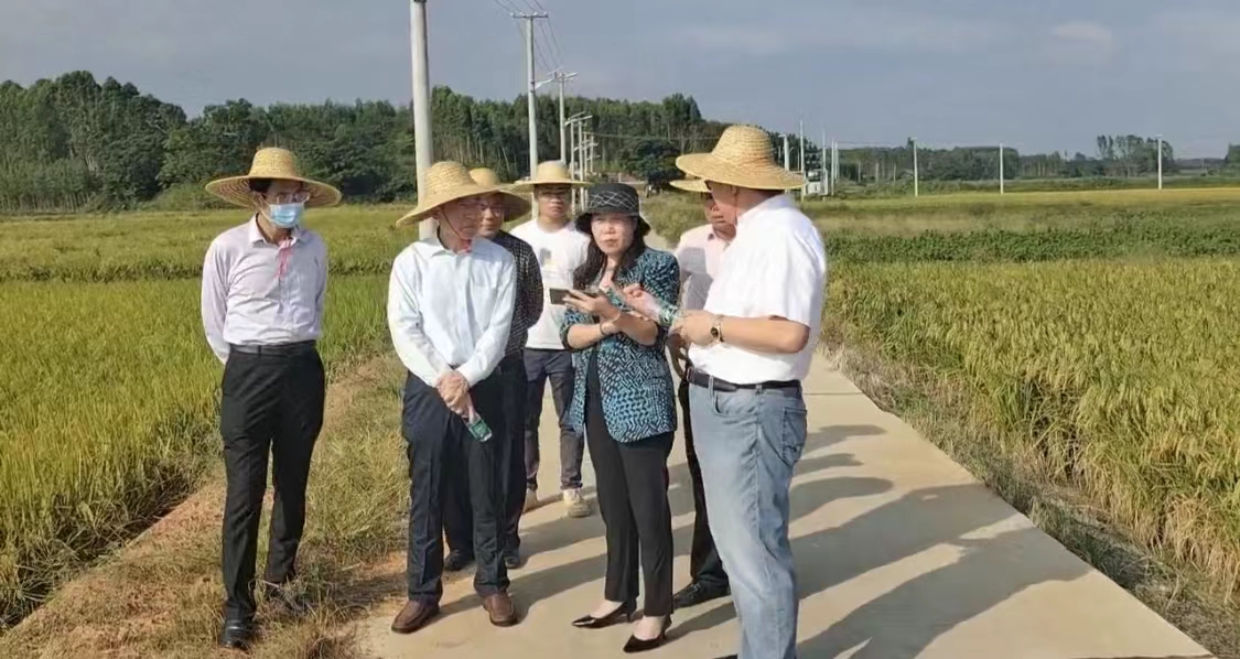 76214DE5765D0EF32B798F06F4D_51899137_6F270