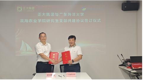 ��ҳ|�Ϲ�NG28��������Ʒ��ʵ������