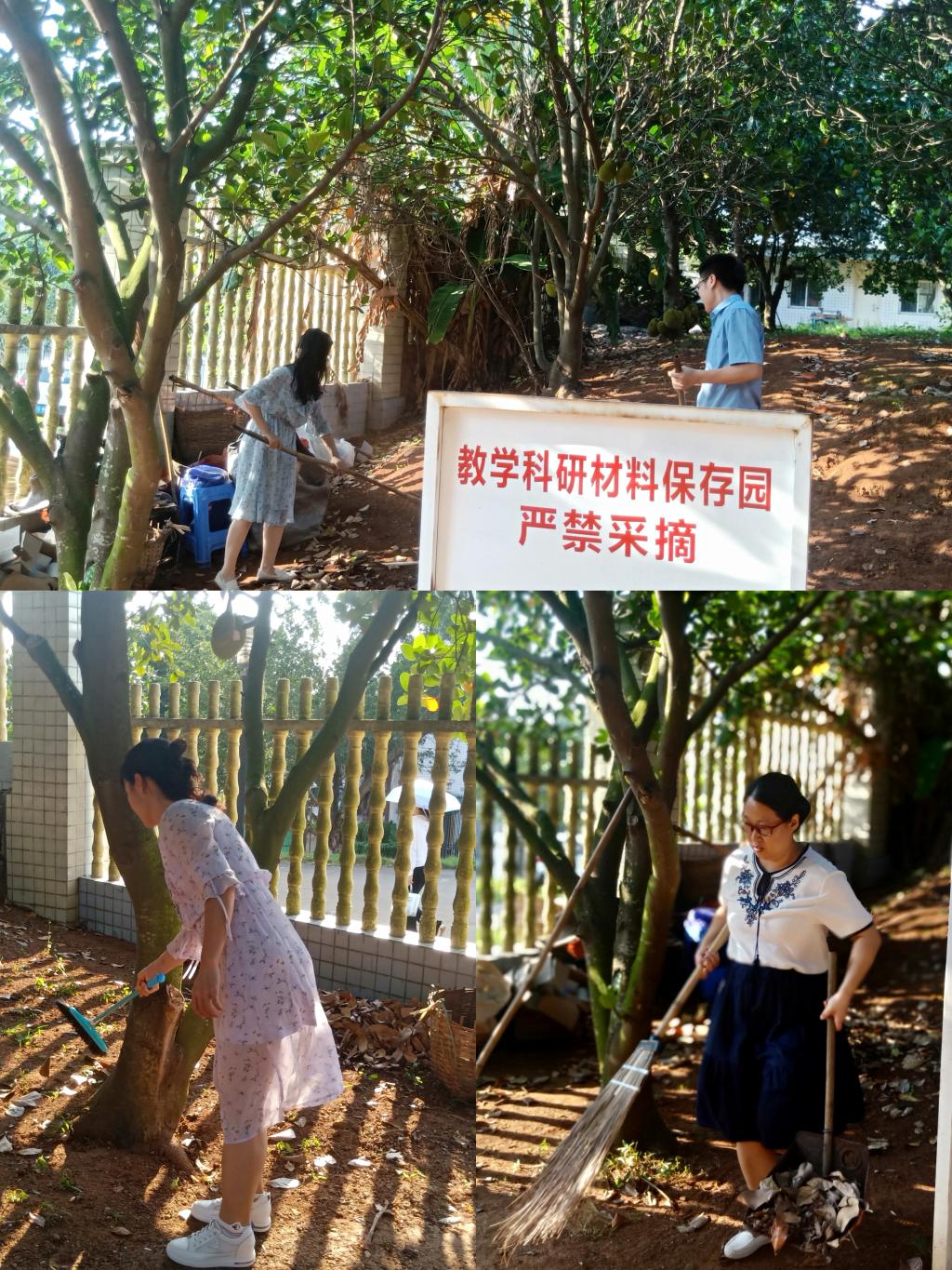 52782804707FADF9351D9068B8D_E8FB9944_4E586