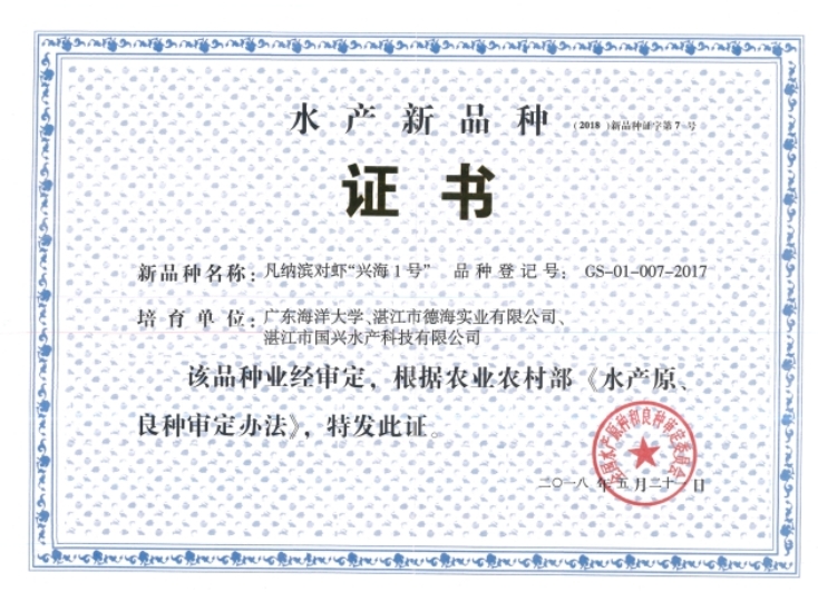 ��ҳ|�Ϲ�NG28��������Ʒ��ʵ������