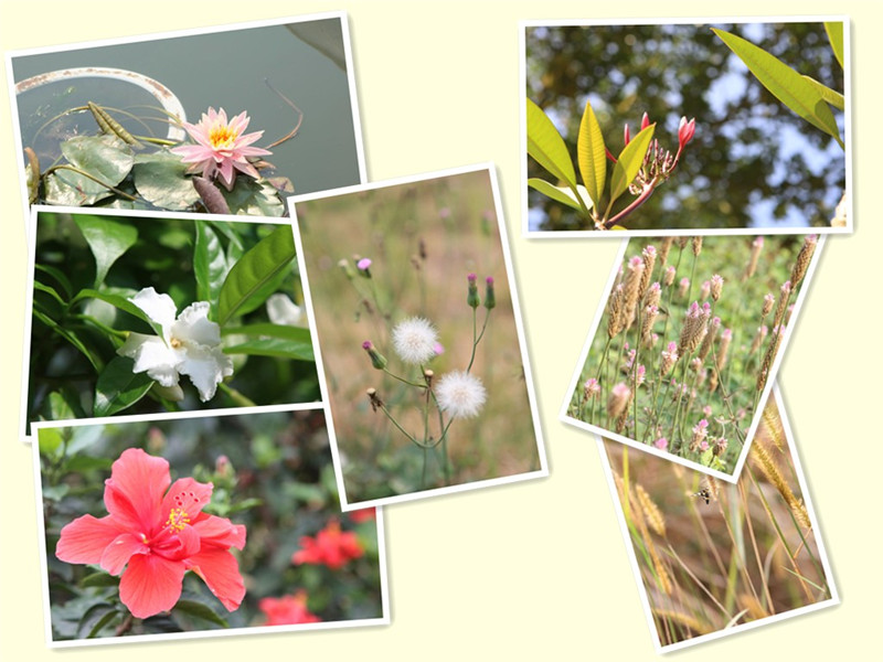 ��ҳ|�Ϲ�NG28��������Ʒ��ʵ������