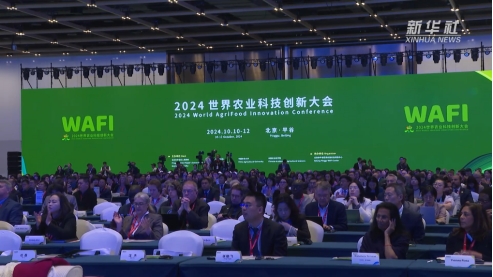 ��ҳ|�Ϲ�NG28��������Ʒ��ʵ������