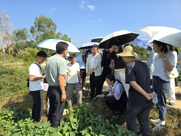 F368BBA43B4FAA6BA105942BE06_E43BAC82_A956B