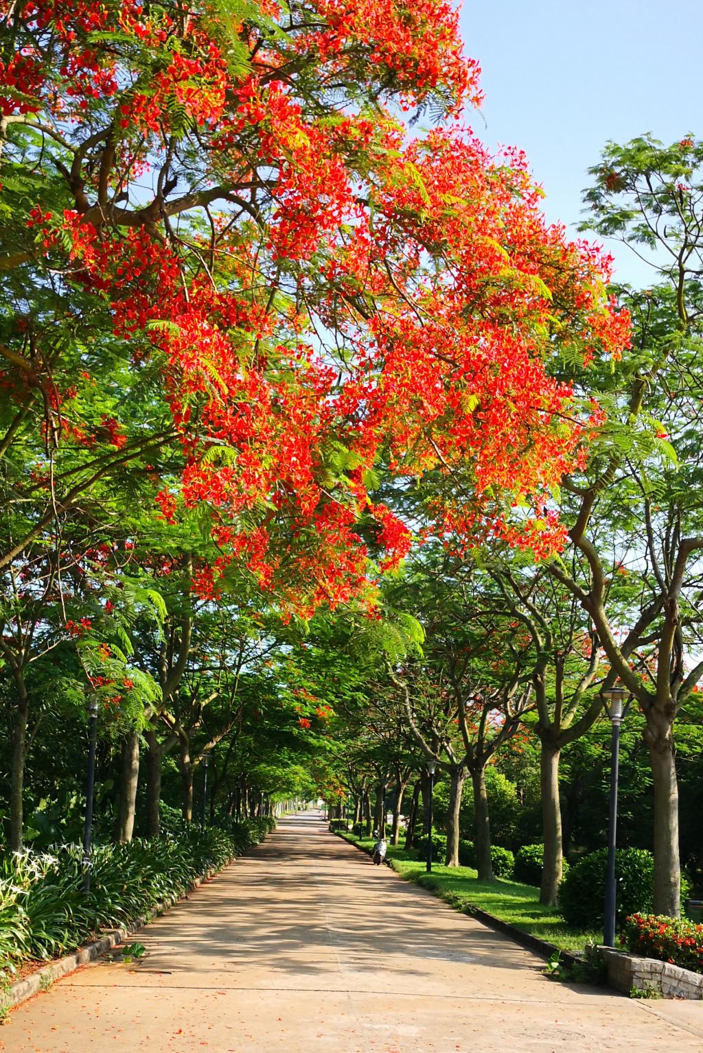 ��ҳ|�Ϲ�NG28��������Ʒ��ʵ������