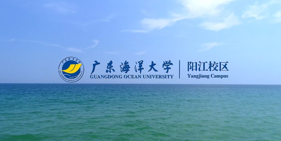 ��ҳ|�Ϲ�NG28��������Ʒ��ʵ������