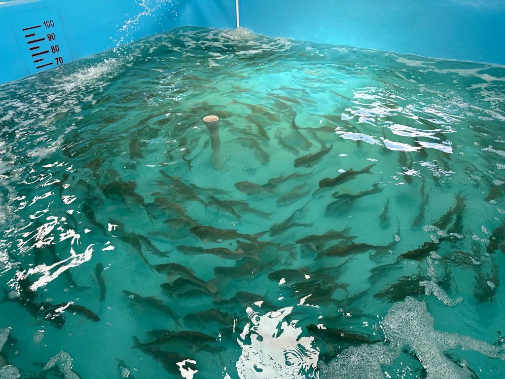 3DCD4049A057F63BEEDC95BAB2A_97211D98_24AC0