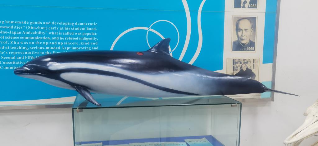 DC7446990A769E99AD087D4F1E7_8B207B28_CBED