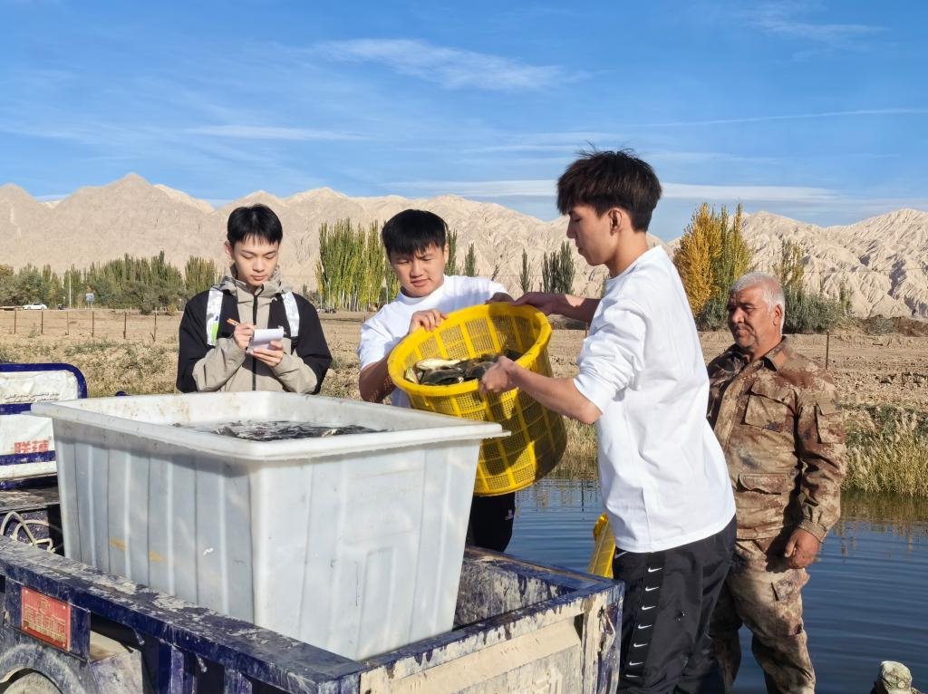 4D1E94DB434BB988BDFA30CF710_9BB2C337_26B65