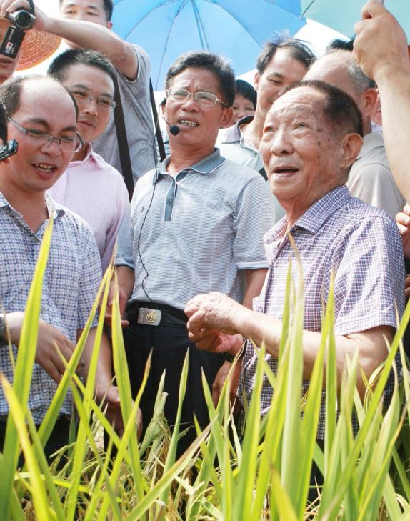 8ECBE0EC9B7087960DDB387B98B_913A3100_1571E 8ECBE0EC9B7087960DDB387B98B_913A3100_1571E