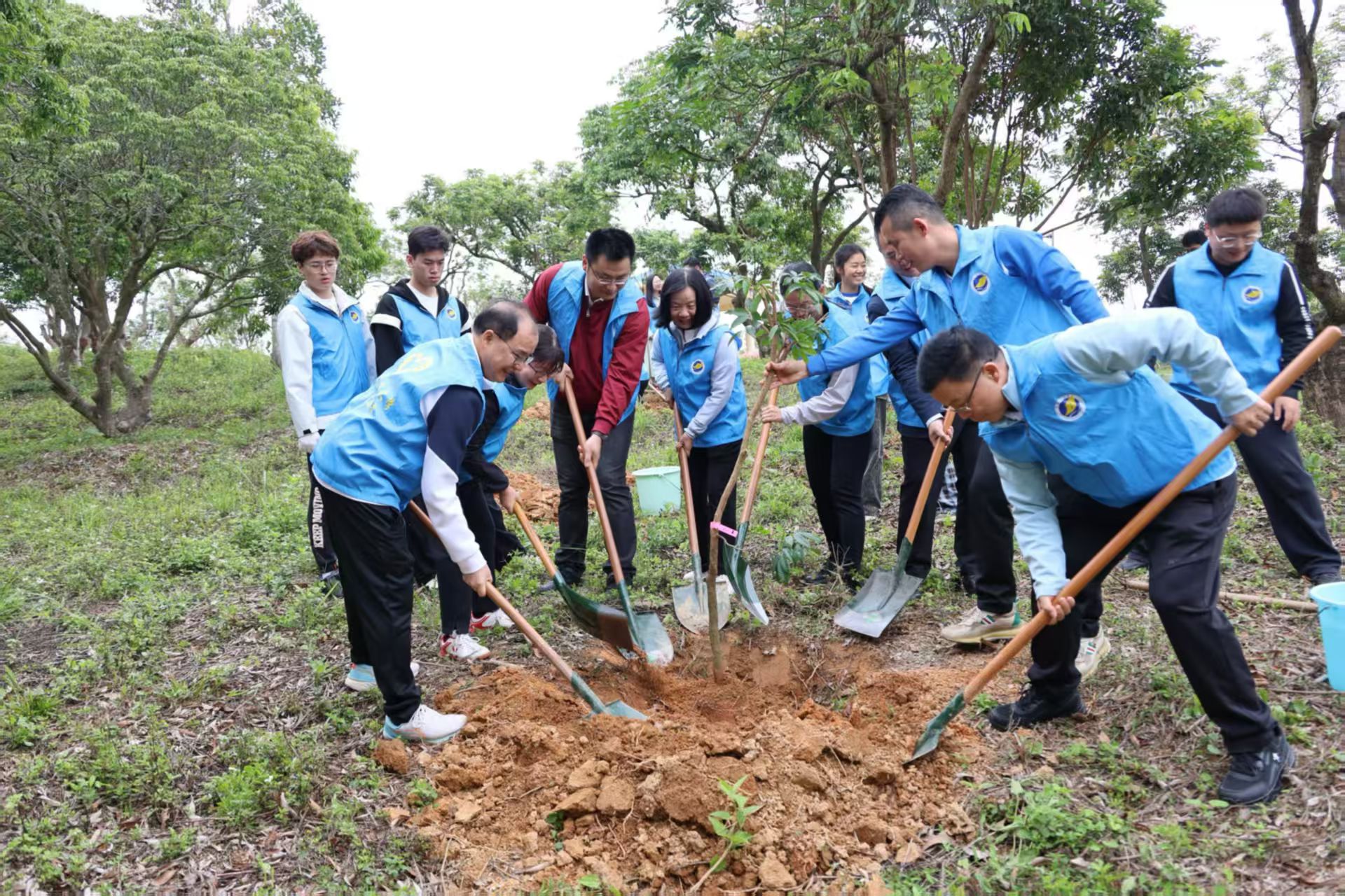 05BF3B74EAD25435772C38AC59F_ACD356C2_83D8C